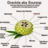 Graviola – The Miracle Fruit
